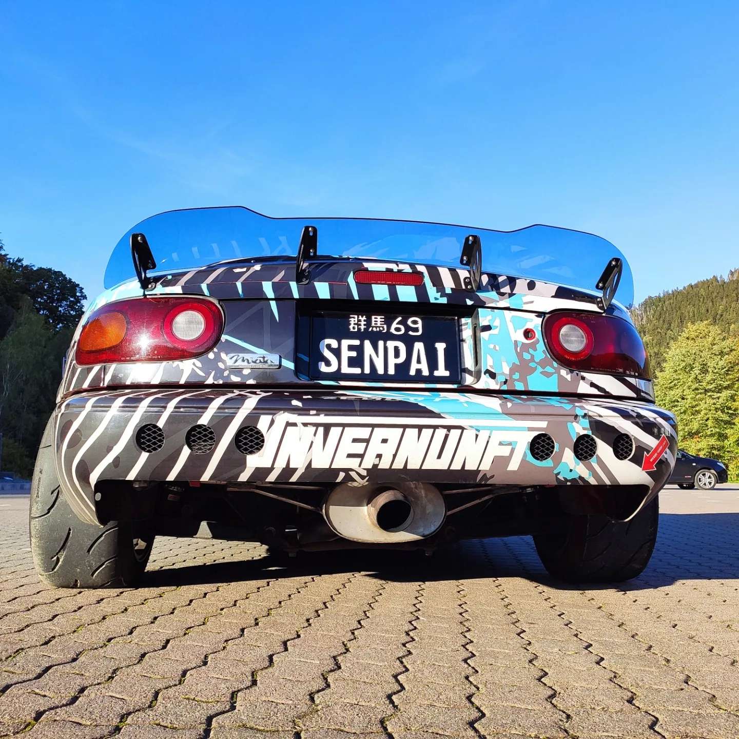 Ducktail Spoiler – Aggressive