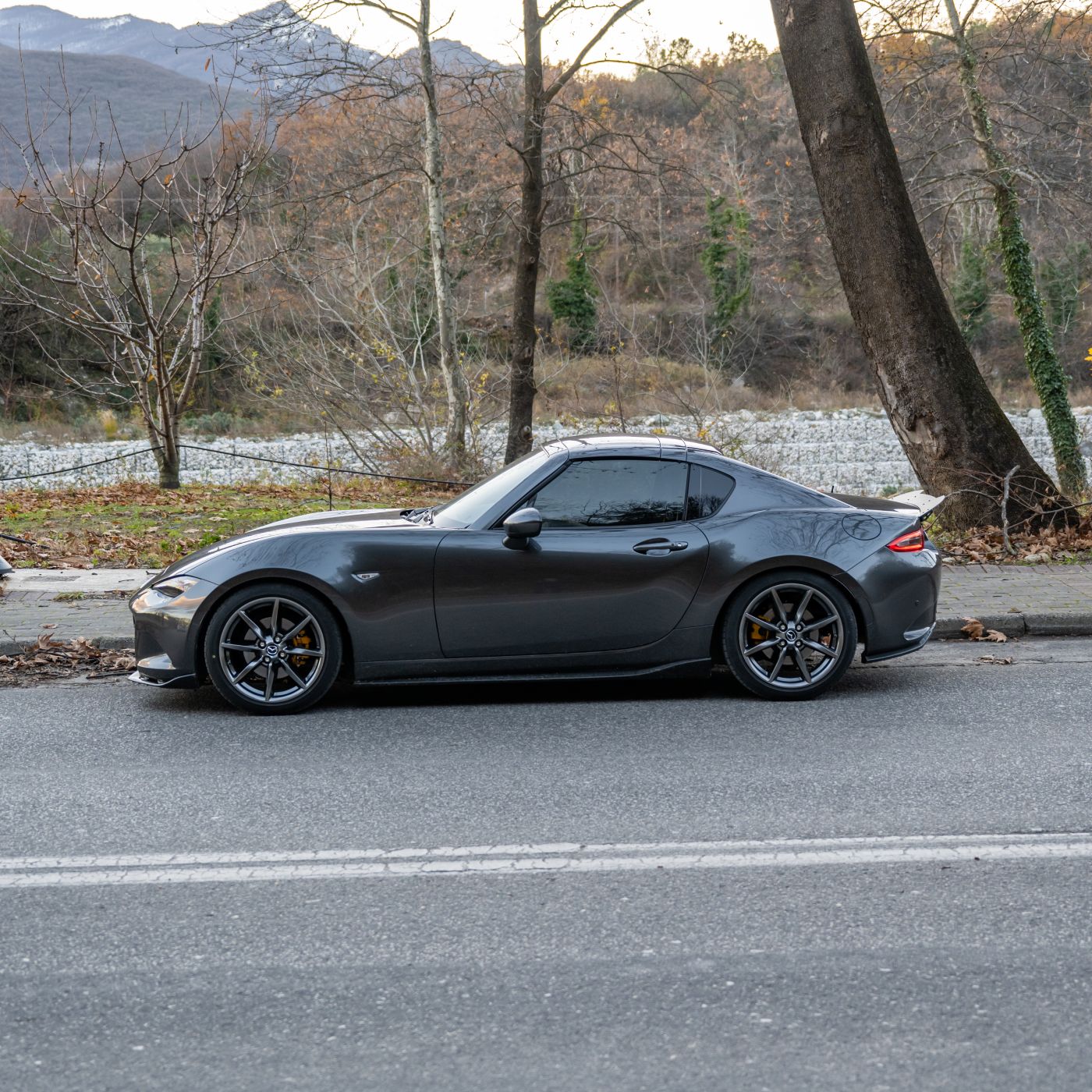 Ducktail Spoiler