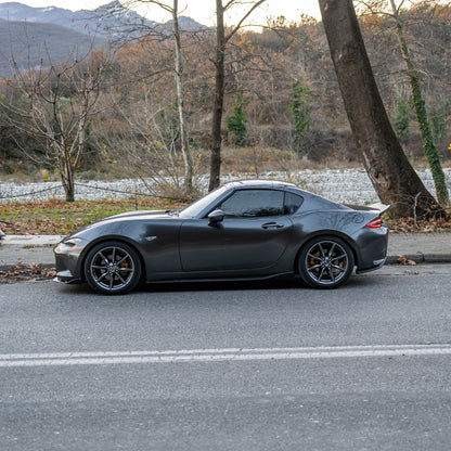 Ducktail Spoiler